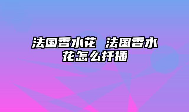法国香水花 法国香水花怎么扦插