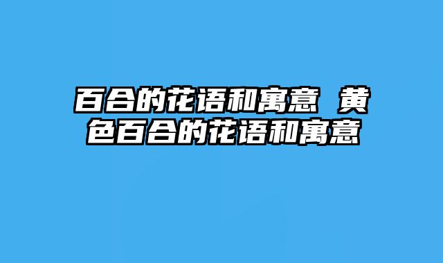 百合的花语和寓意 黄色百合的花语和寓意