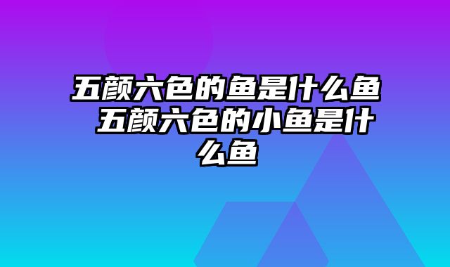 五颜六色的鱼是什么鱼 五颜六色的小鱼是什么鱼