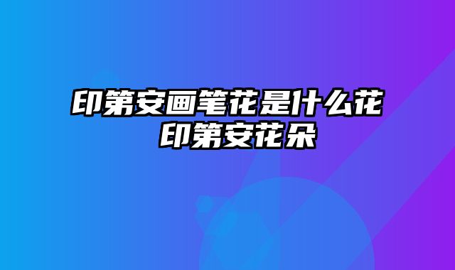 印第安画笔花是什么花 印第安花朵