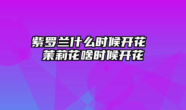 紫罗兰什么时候开花 茉莉花啥时候开花