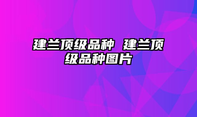 建兰顶级品种 建兰顶级品种图片