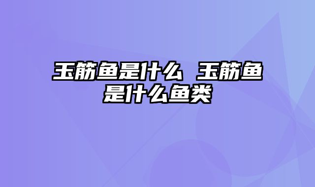 玉筋鱼是什么 玉筋鱼是什么鱼类