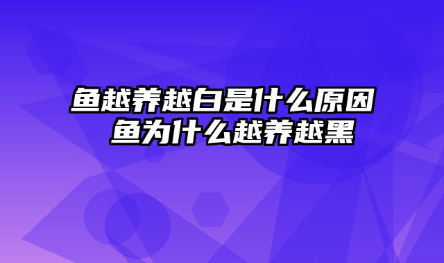 鱼越养越白是什么原因 鱼为什么越养越黑