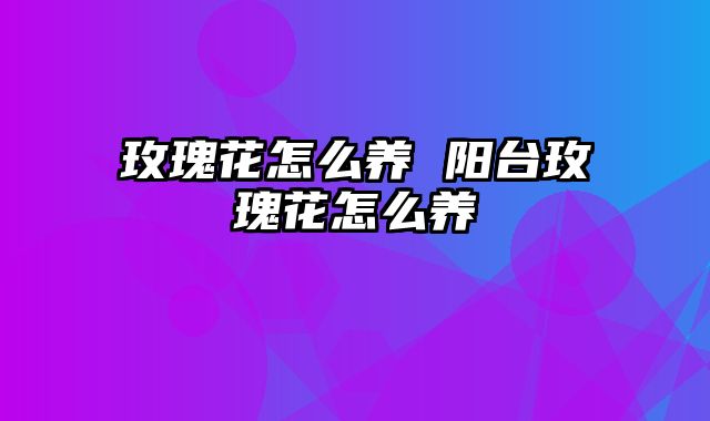 玫瑰花怎么养 阳台玫瑰花怎么养