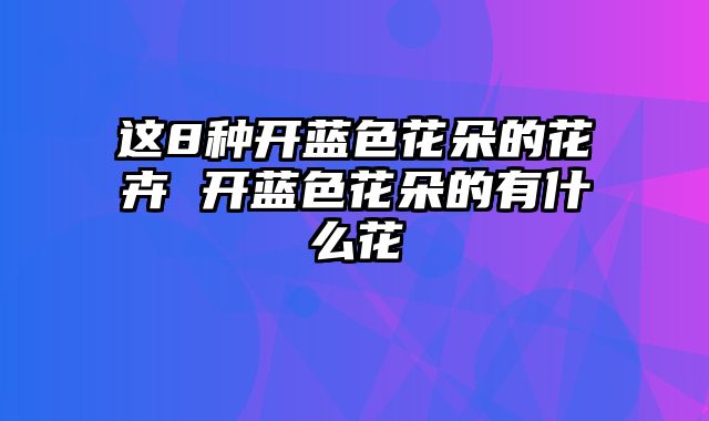 这8种开蓝色花朵的花卉 开蓝色花朵的有什么花