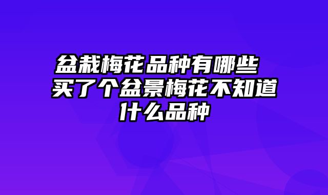 盆栽梅花品种有哪些 买了个盆景梅花不知道什么品种