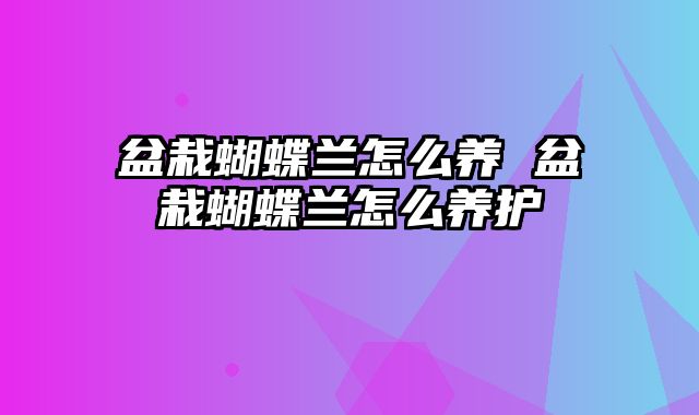 盆栽蝴蝶兰怎么养 盆栽蝴蝶兰怎么养护