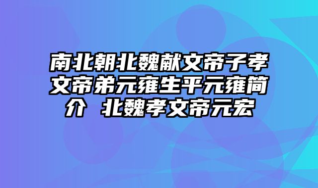 南北朝北魏献文帝子孝文帝弟元雍生平元雍简介 北魏孝文帝元宏