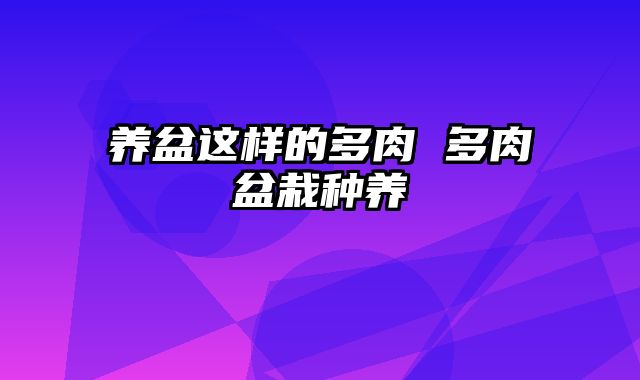 养盆这样的多肉 多肉盆栽种养