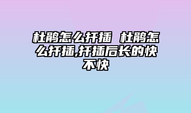 杜鹃怎么扦插 杜鹃怎么扦插,扦插后长的快不快
