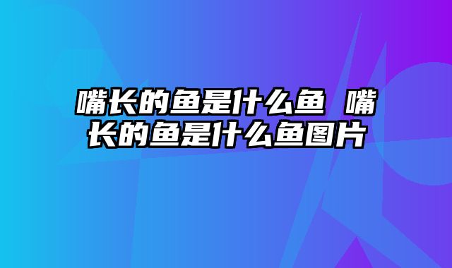 嘴长的鱼是什么鱼 嘴长的鱼是什么鱼图片