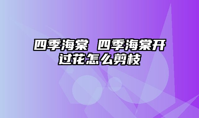 四季海棠 四季海棠开过花怎么剪枝