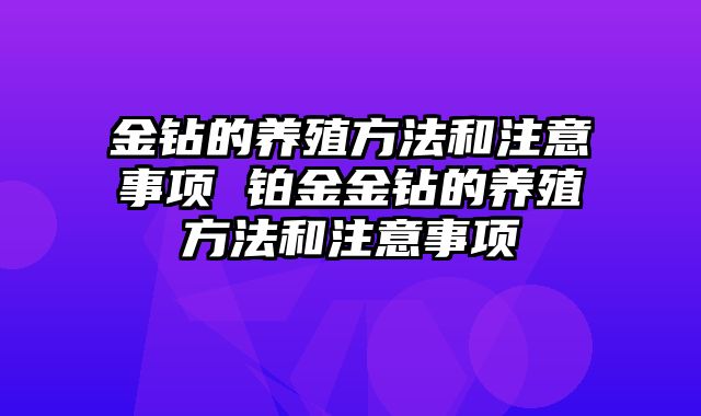金钻的养殖方法和注意事项 铂金金钻的养殖方法和注意事项