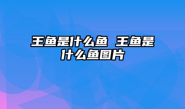 王鱼是什么鱼 王鱼是什么鱼图片