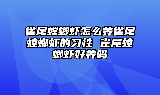 雀尾螳螂虾怎么养雀尾螳螂虾的习性 雀尾螳螂虾好养吗