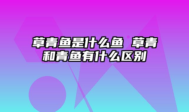 草青鱼是什么鱼 草青和青鱼有什么区别