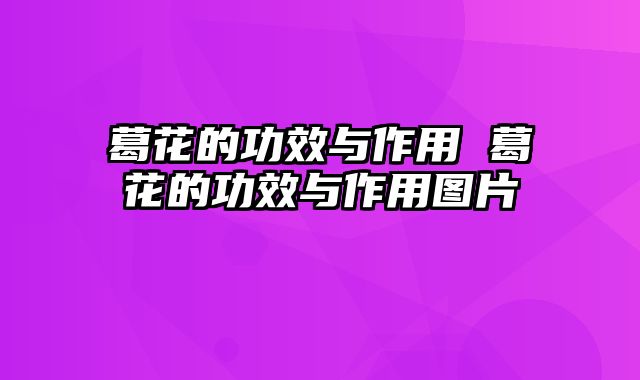 葛花的功效与作用 葛花的功效与作用图片