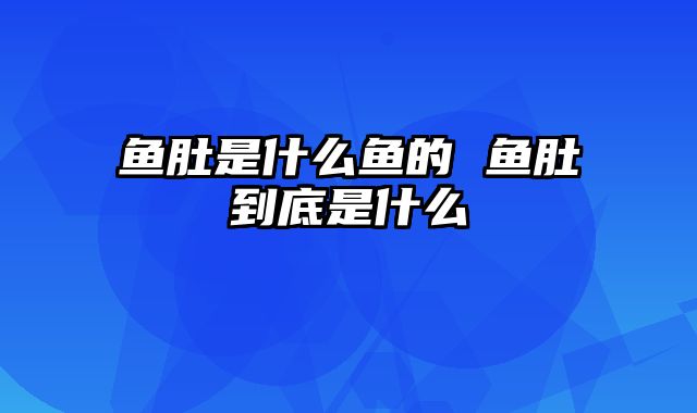 鱼肚是什么鱼的 鱼肚到底是什么