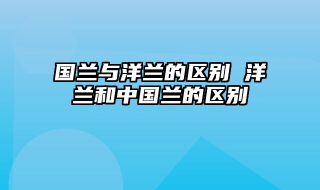 国兰与洋兰的区别 洋兰和中国兰的区别