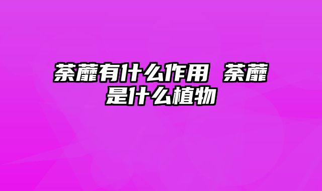 荼蘼有什么作用 荼蘼是什么植物