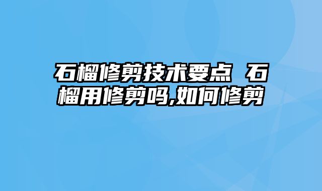石榴修剪技术要点 石榴用修剪吗,如何修剪