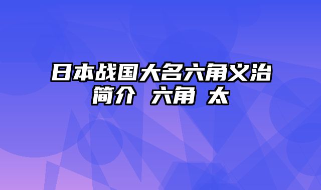 日本战国大名六角义治简介 六角祐太