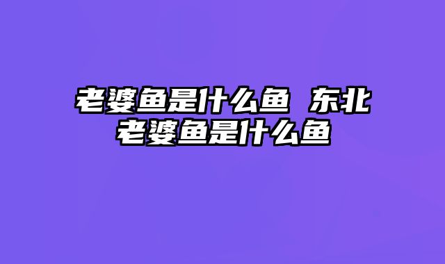 老婆鱼是什么鱼 东北老婆鱼是什么鱼