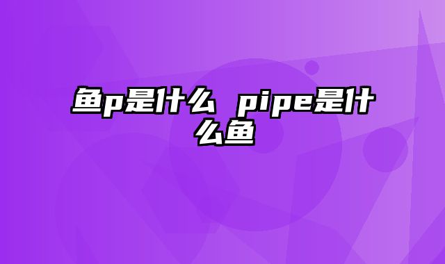 鱼p是什么 pipe是什么鱼