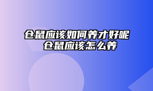 仓鼠应该如何养才好呢 仓鼠应该怎么养