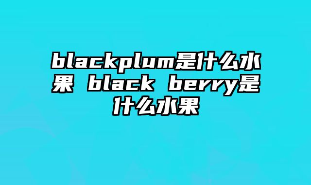 blackplum是什么水果 black berry是什么水果