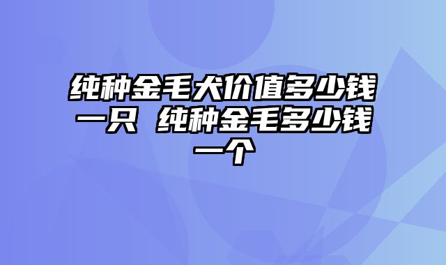 纯种金毛犬价值多少钱一只 纯种金毛多少钱一个