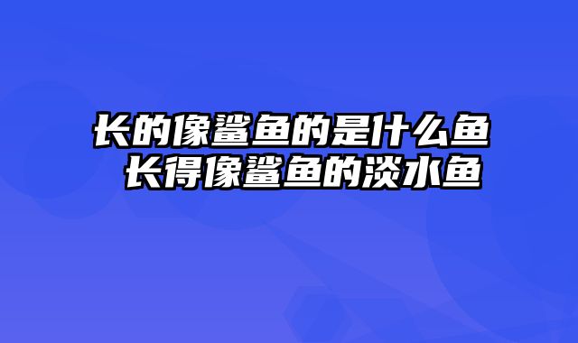 长的像鲨鱼的是什么鱼 长得像鲨鱼的淡水鱼