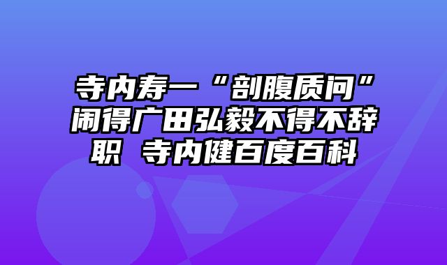寺内寿一“剖腹质问”闹得广田弘毅不得不辞职 寺内健百度百科