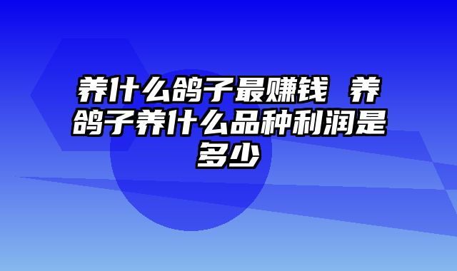 养什么鸽子最赚钱 养鸽子养什么品种利润是多少