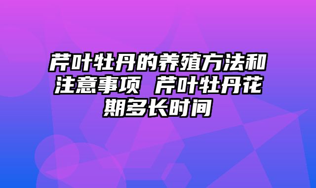 芹叶牡丹的养殖方法和注意事项 芹叶牡丹花期多长时间