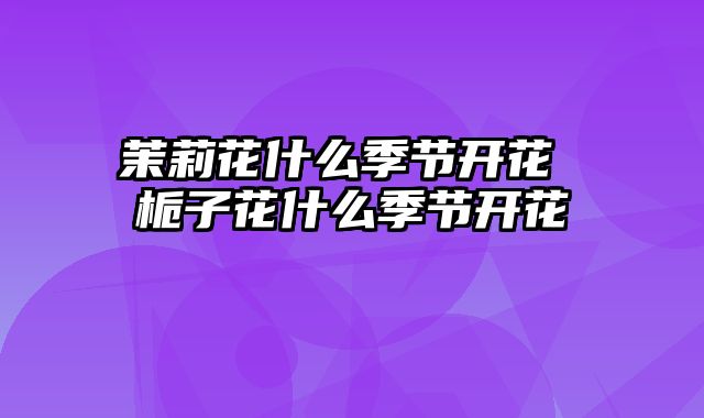 茉莉花什么季节开花 栀子花什么季节开花