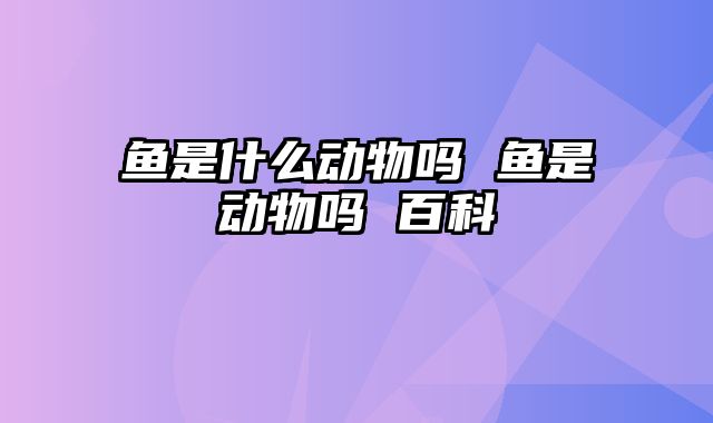 鱼是什么动物吗 鱼是动物吗 百科