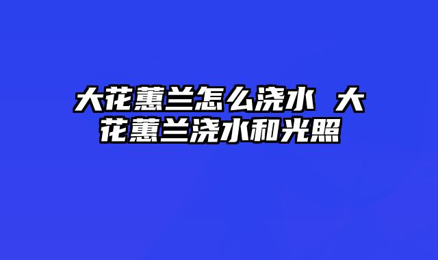 大花蕙兰怎么浇水 大花蕙兰浇水和光照
