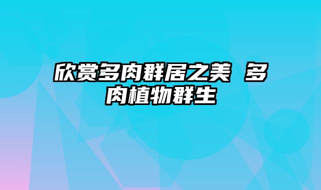 欣赏多肉群居之美 多肉植物群生