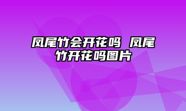 凤尾竹会开花吗 凤尾竹开花吗图片