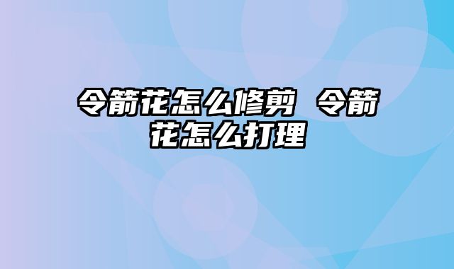 令箭花怎么修剪 令箭花怎么打理