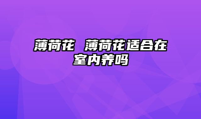 薄荷花 薄荷花适合在室内养吗