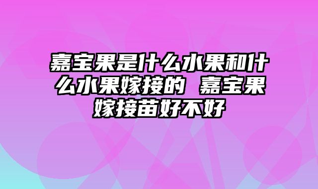 嘉宝果是什么水果和什么水果嫁接的 嘉宝果嫁接苗好不好