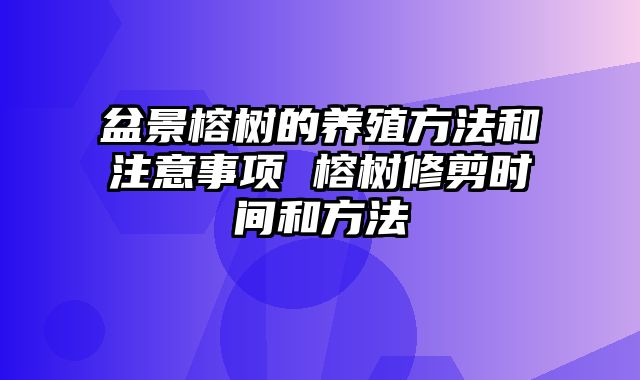 盆景榕树的养殖方法和注意事项 榕树修剪时间和方法