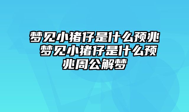 梦见小猪仔是什么预兆 梦见小猪仔是什么预兆周公解梦