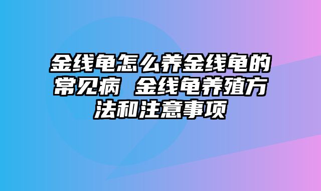 金线龟怎么养金线龟的常见病 金线龟养殖方法和注意事项