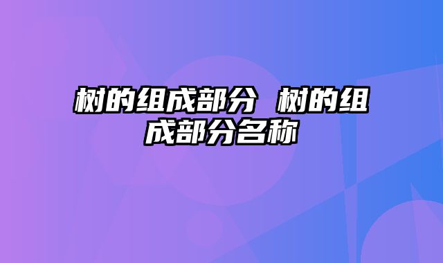 树的组成部分 树的组成部分名称