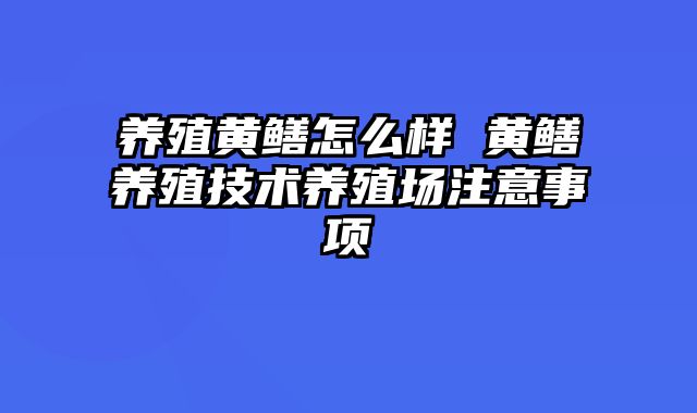 养殖黄鳝怎么样 黄鳝养殖技术养殖场注意事项