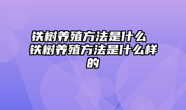 铁树养殖方法是什么 铁树养殖方法是什么样的